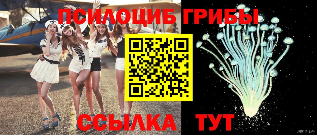 Псилоцибиновые грибы прущие грибы  Вход с VPN  Черняховск 