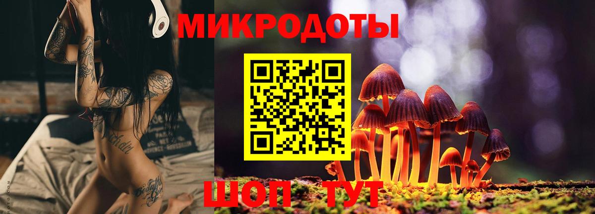 Галлюциногенные грибы мухоморы Черняховск