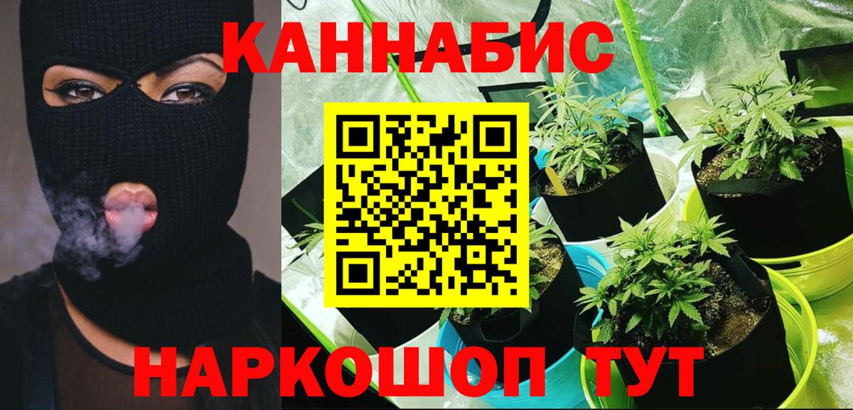 Бошки Шишки White Widow  Канабис SATIVA & INDICA  Черняховск  Шишки марихуана MAZAR  Вход с VPN  МАРИХУАНА семена 
